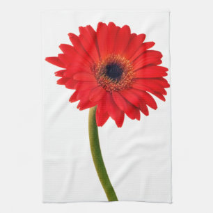 Red  Gerber Daisy Flowers Floral Daisies Flower Tea Towel
