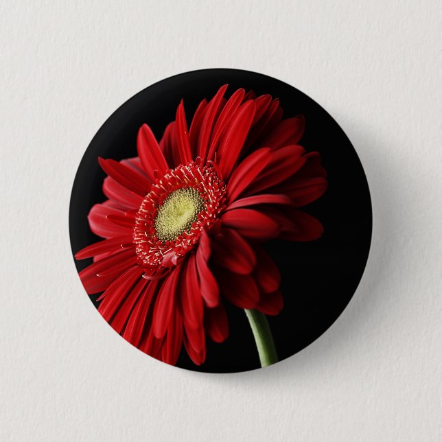 Red Gerber Daisy Pin (Front)