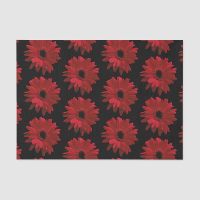 Red Gerbera Daisies Tissue Paper (Front)