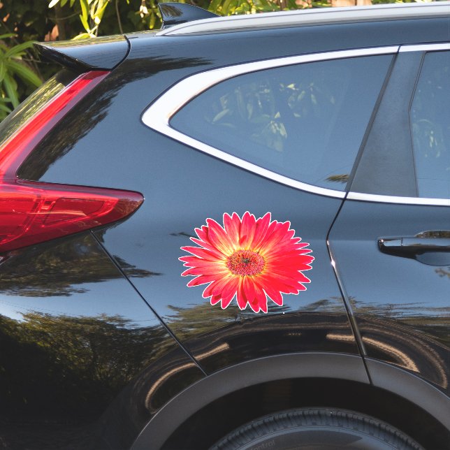 Red Gerbera Daisy (Car Side)