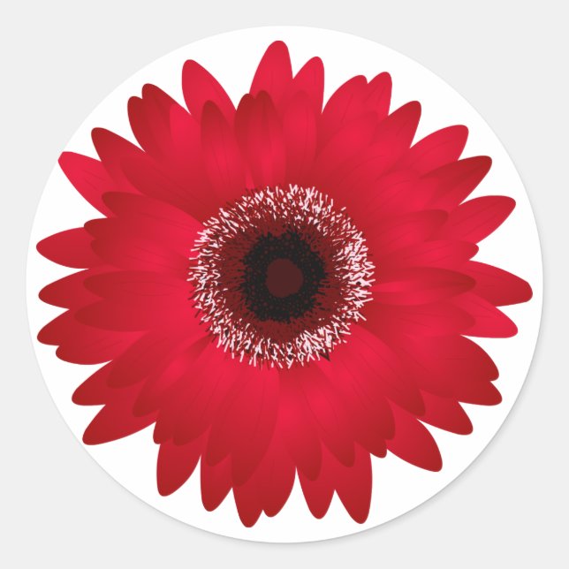 Red Gerbera Daisy Classic Round Sticker (Front)