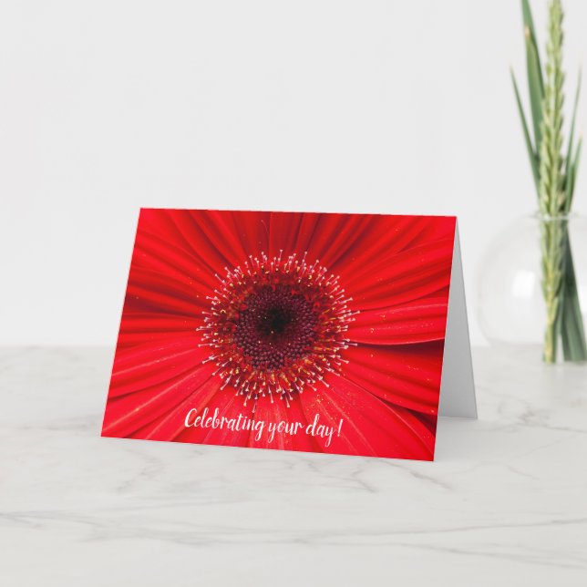 Red Gerbera Daisy for birthday Card (Front)