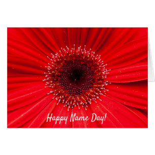 Red Gerbera Daisy for Name Day