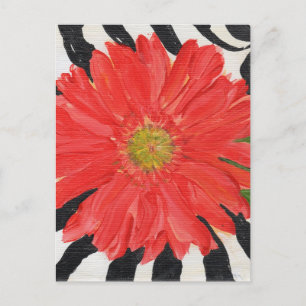 Red Gerbera Daisy on Zebra Postcard