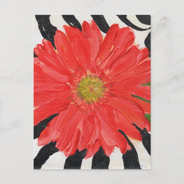Red Gerbera Daisy on Zebra Postcard (Front)