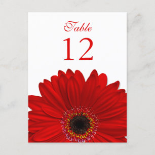 Red Gerbera Daisy Table Number Card Flat