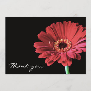 Red Gerbera flower Thank you card announcement