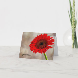 Red Gerbera Folded Greeting Card