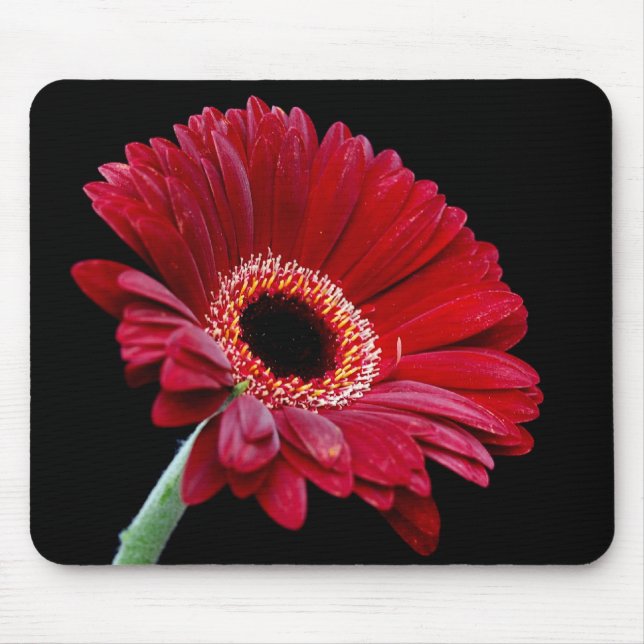 Red Gerbera Mousepad (Front)