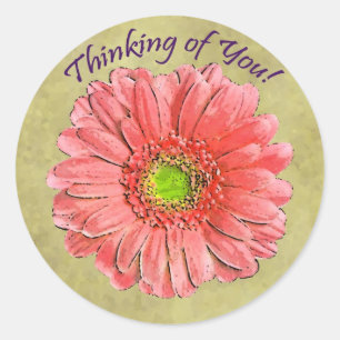 Red Gerbera Thinking of You sticker