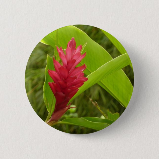 Red Ginger Flower (Alpinia) 6 Cm Round Badge (Front)