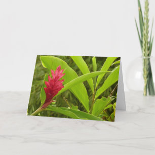 Red Ginger Flower (Alpinia) Tropical Card