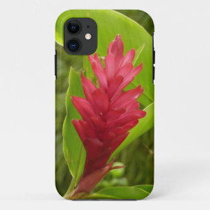 Red Ginger Flower (Alpinia) Tropical iPhone 11 Case