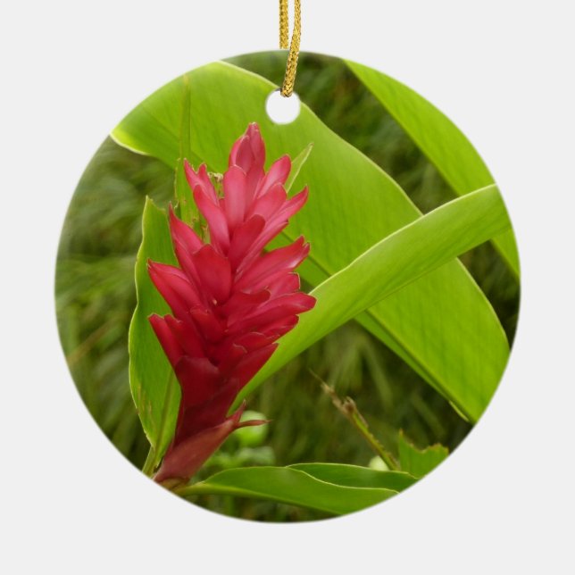 Red Ginger Flower (Alpinia) Tropical Ceramic Ornament (Front)
