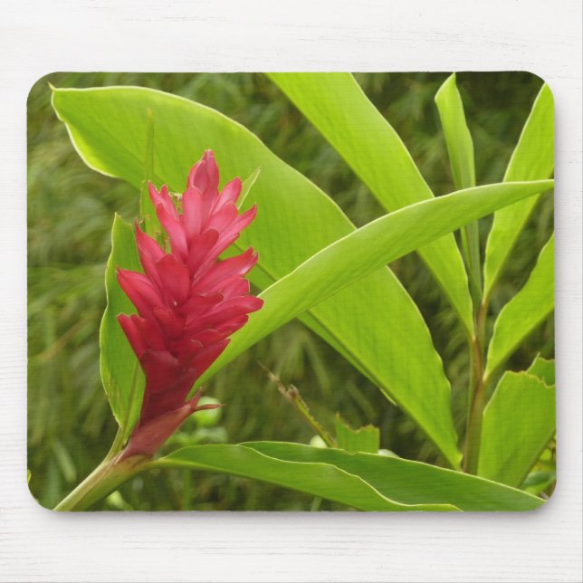Red Ginger Flower (Alpinia) Tropical Mouse Pad (Front)