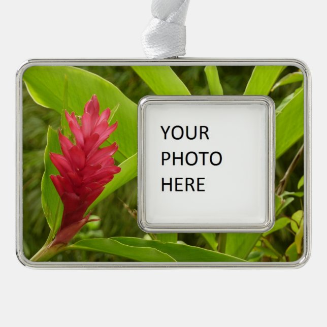 Red Ginger Flower (Alpinia) Tropical Silver Plated Framed Ornament (Front)