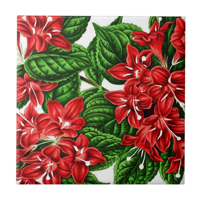 Red ginger flowers, vintage print ceramic tile (Front)
