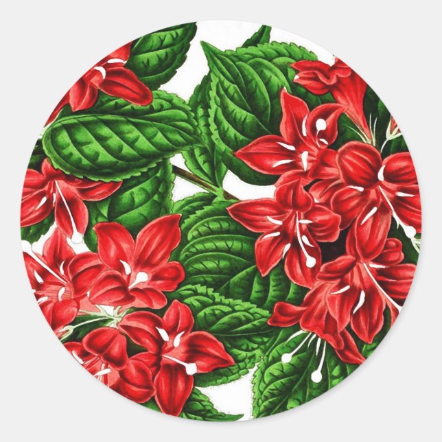 Red ginger flowers, vintage print classic round sticker (Front)