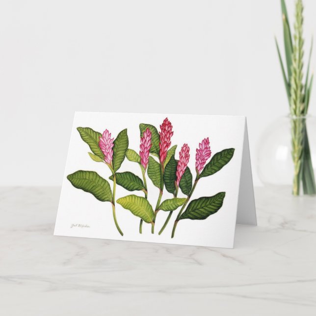 Red Ginger Holiday Card (Front)