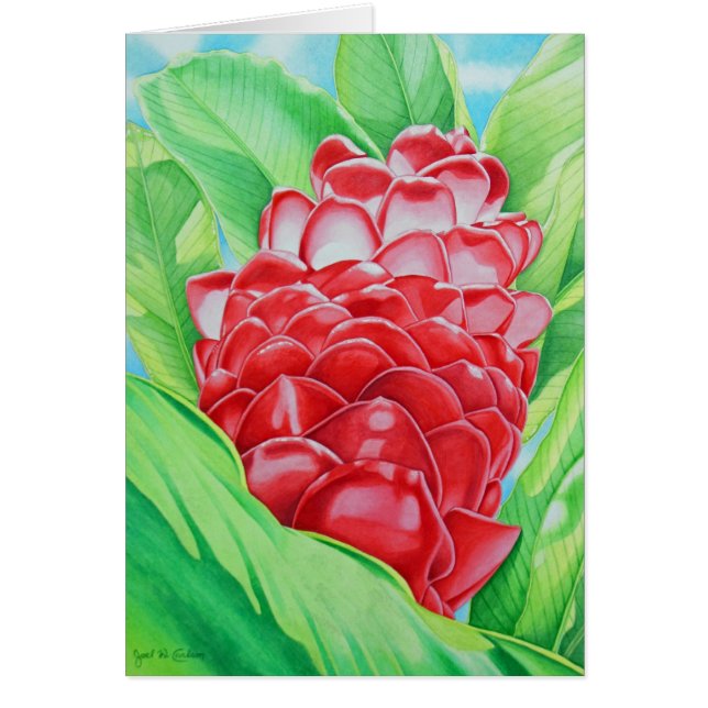 Red Ginger Watercolor (Front)