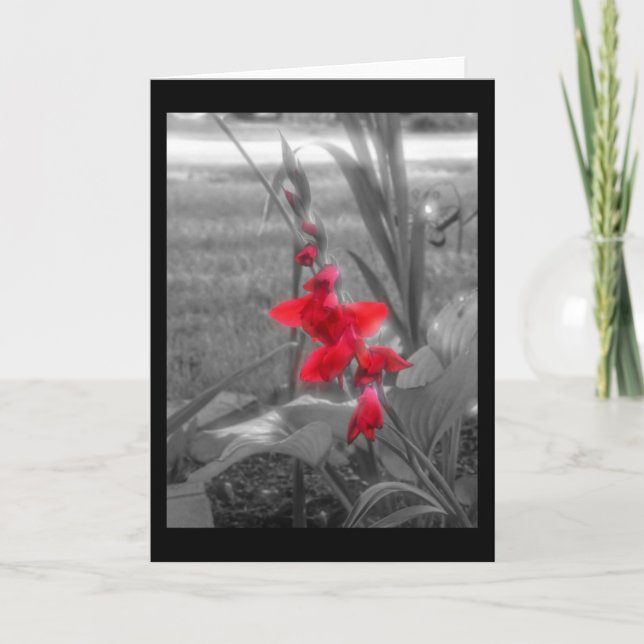 Red Gladioli Card (Front)