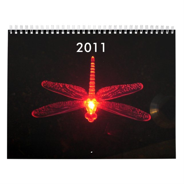 Red Glowing Dragonfly, Be Inspired, 2012 Calendar (Cover)