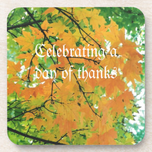 Red & Gold Autumn or Fall Leaves Colour Photo Coaster