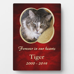 Red Gold Frame Pet Memorial Template