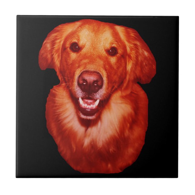 Red Golden Retriever Front Profile Ceramic Tile (Front)