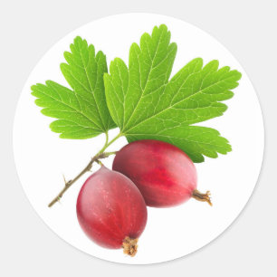 Red gooseberries classic round sticker