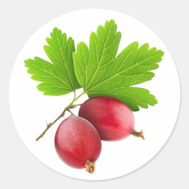 Red gooseberries classic round sticker (Front)