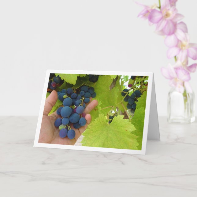 Red Grape Bunch in Hand Card (Orchid)