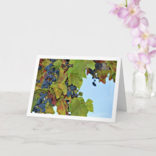 Red Grape Vine in Blue Sky Card