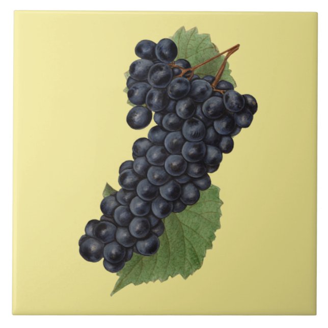 Red Grapes Botanical ~Kitchen~Any Colour Ceramic Tile (Front)