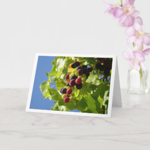 Red Grapes Green Leaves Card