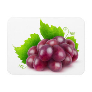 Red grapes magnet