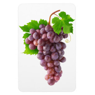Red grapes magnet