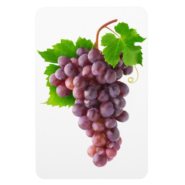 Red grapes magnet (Vertical)