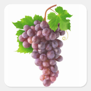 Red grapes square sticker