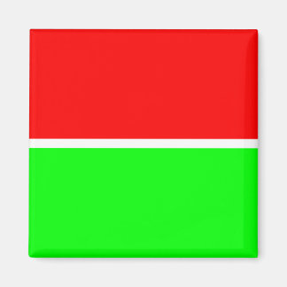 Red Green 001 magnet