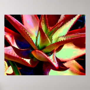 Red & Green Agave Poster