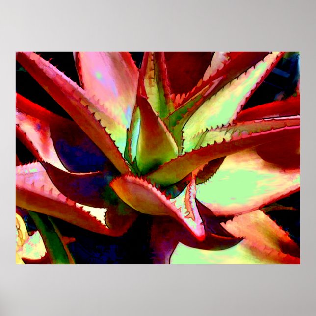 Red & Green Agave Poster (Front)