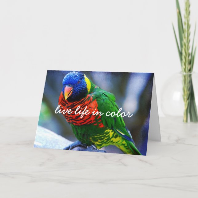 Red Green Blue Bird Live Life In Colour Script Bol Card (Front)