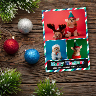 Red Green Blue Retro Merry Woofmas Photo Collage Holiday Card
