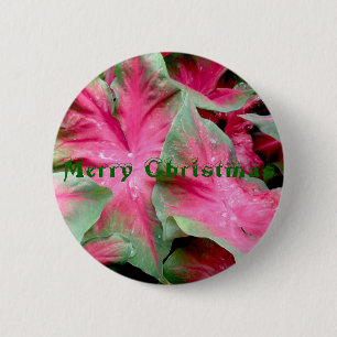 Red Green Caladium Merry Christmas Badge