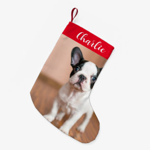 Red Green Dog Photo Personalised Name Small Christmas Stocking