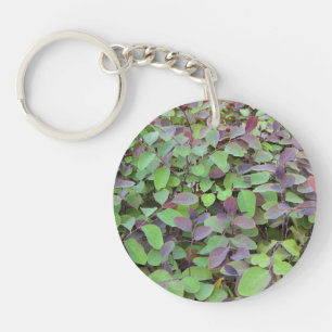 Red & Green Leaves Branches Photography Key Ring