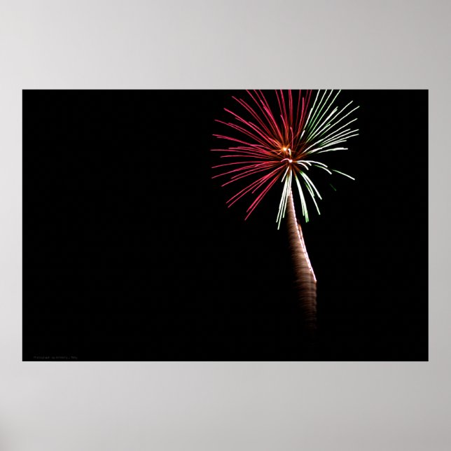 Red & Green Palm Print (Front)