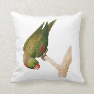 Red Green Parrot Cushion