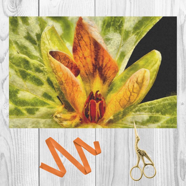 Red Green Toadshade Trillium Bud Watercolor Look Tissue Paper (Creator Uploaded)
